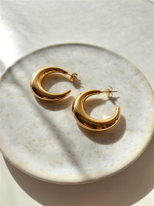 Sailor Moon earrings