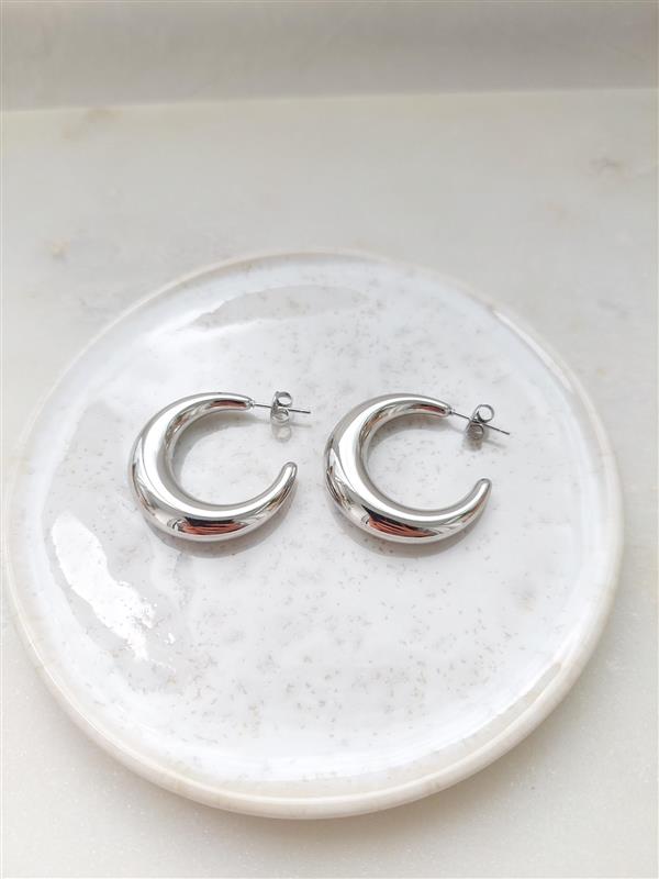 Sailor Moon earrings